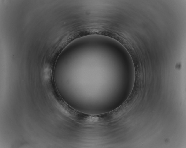 X0000091090227200708201505