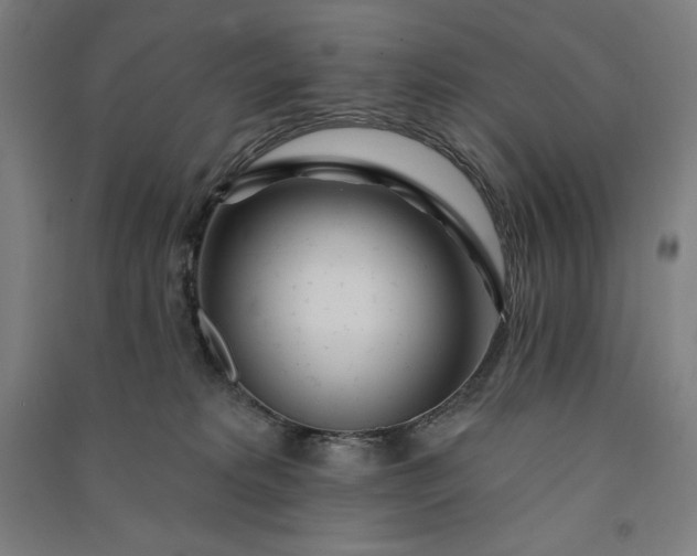 X0000091090229200708201505