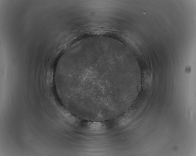 X0000091090230200708201505