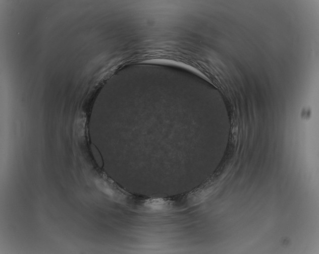 X0000091090231200708201505