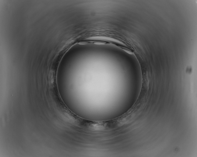 X0000091090232200708201504