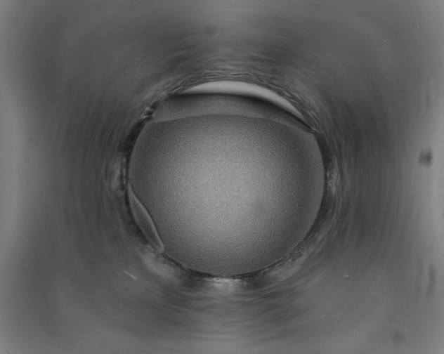 X0000091090233200708201504