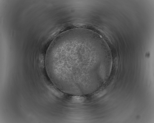 X0000091090234200708201504