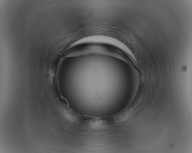 X0000091090235200708201504