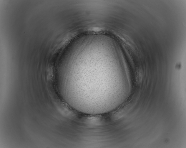 X0000091090236200708201504