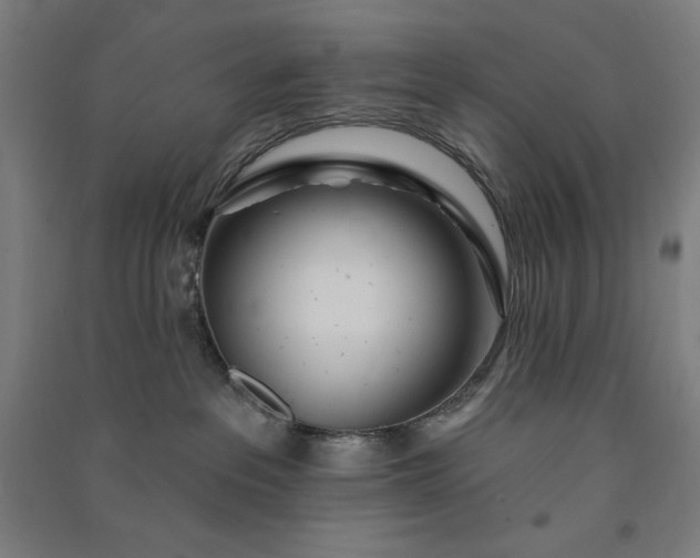 X0000091090237200708201504