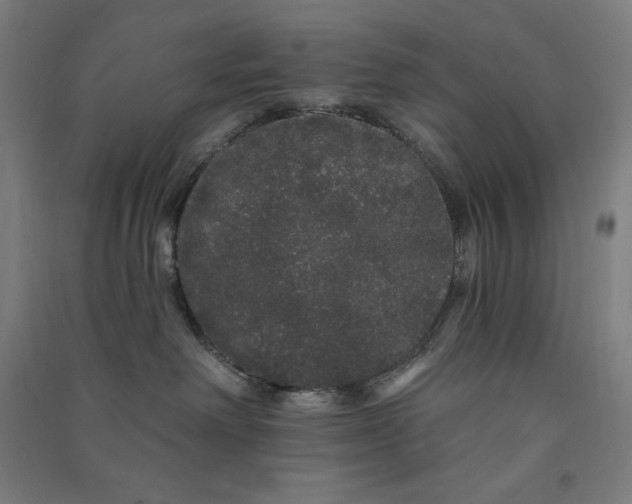 X0000091090238200708201504