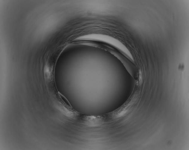 X0000091090239200708201504