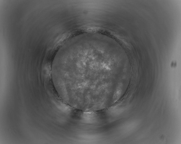 X0000091090240200708201504