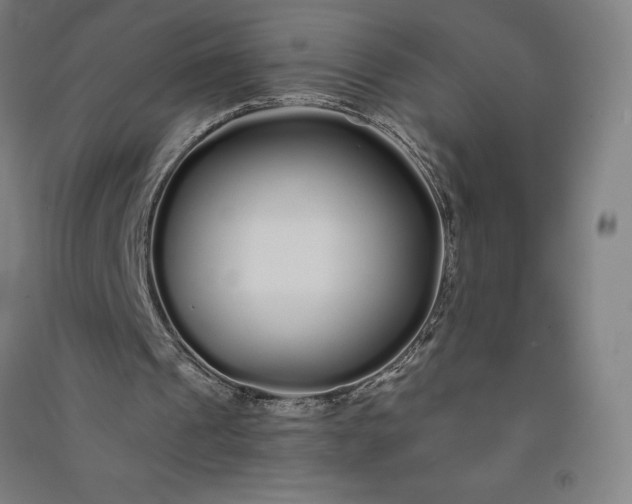 X0000091090241200708201504