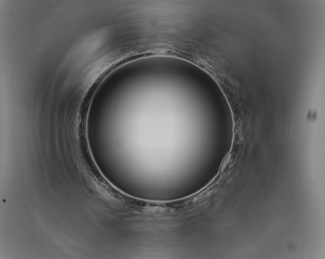 X0000091090242200708201504