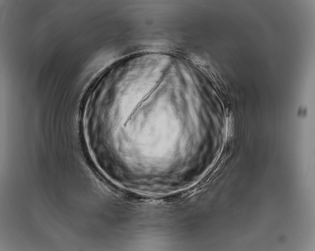 X0000091090243200708201504