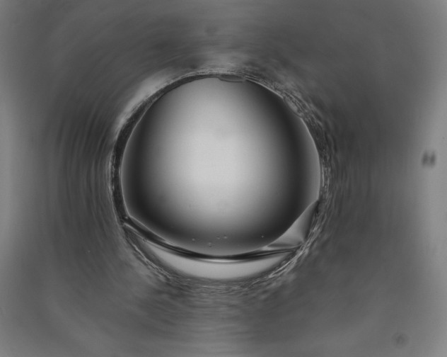 X0000091090244200708201504