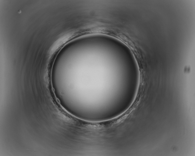 X0000091090245200708201504