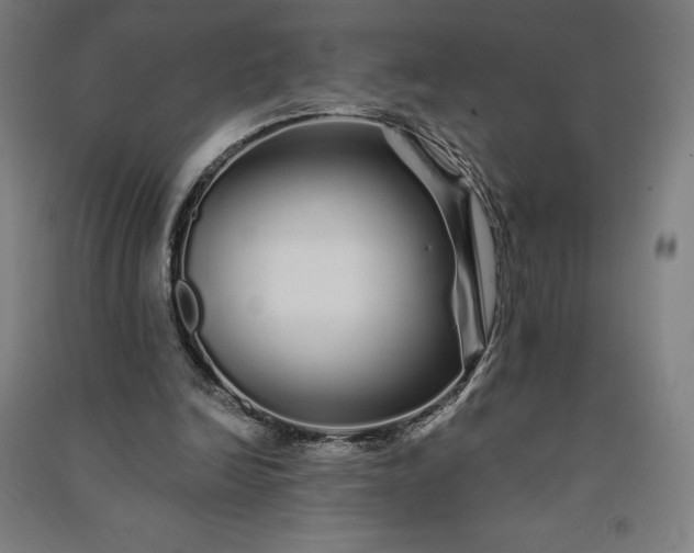 X0000091090246200708201504