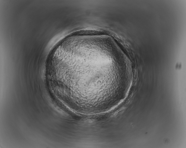 X0000091090247200708201504