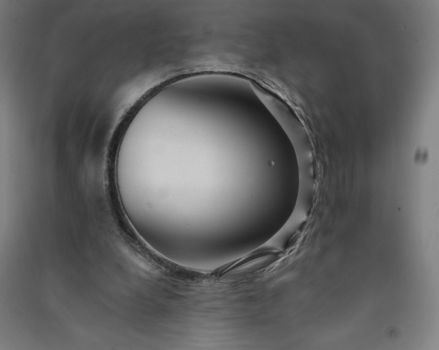 X0000091090248200708201504