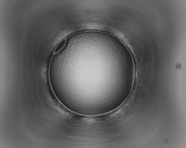 X0000091090249200708201504