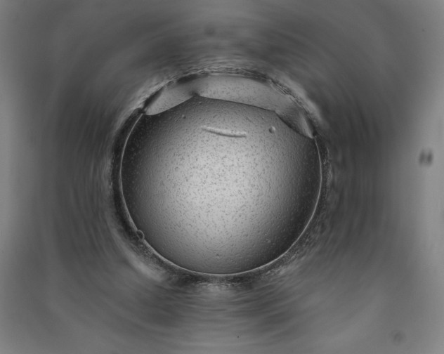 X0000091090250200708201504