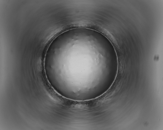 X0000091090251200708201504