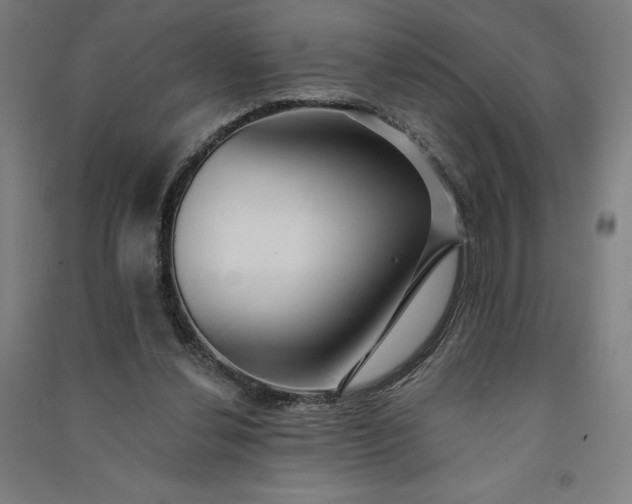 X0000091090252200708201504