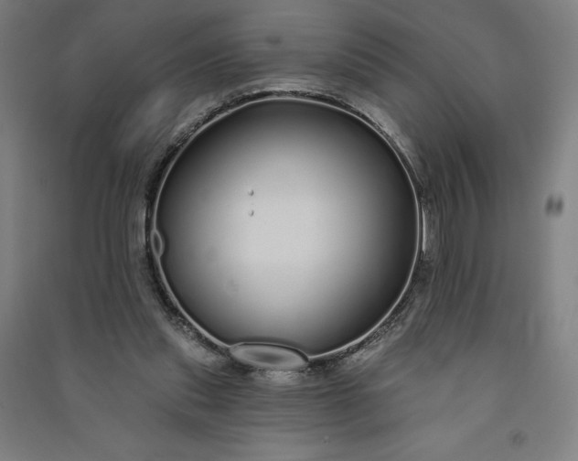 X0000091090253200708201504