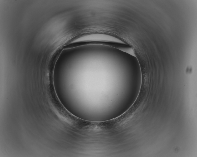 X0000091090254200708201504