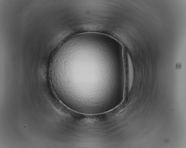 X0000091090255200708201504