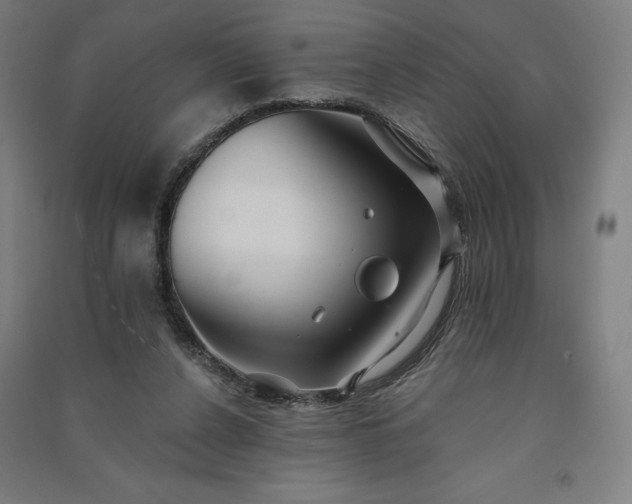 X0000091090256200708201504