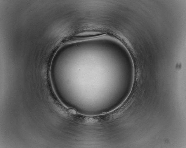 X0000091090257200708201504