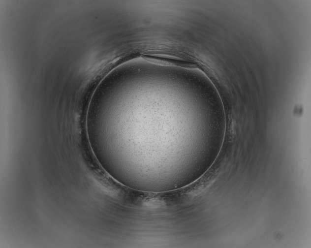 X0000091090258200708201504