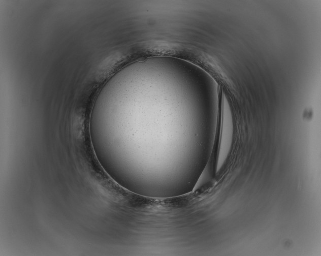 X0000091090259200708201504