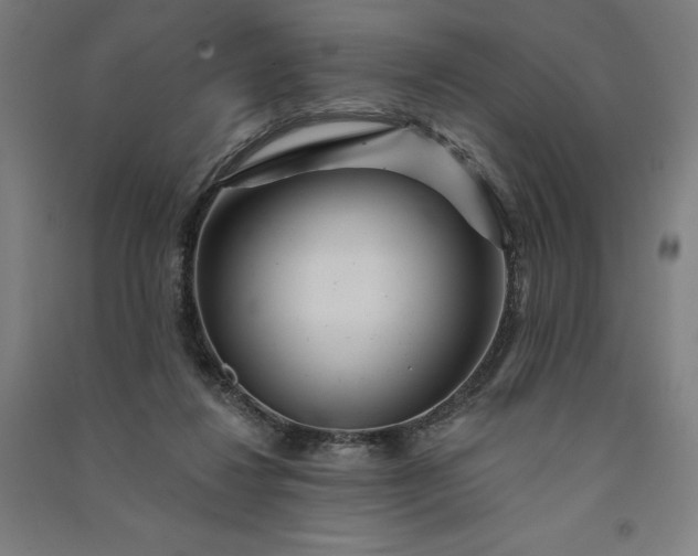 X0000091090260200708201504