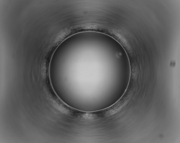 X0000091090261200708201504