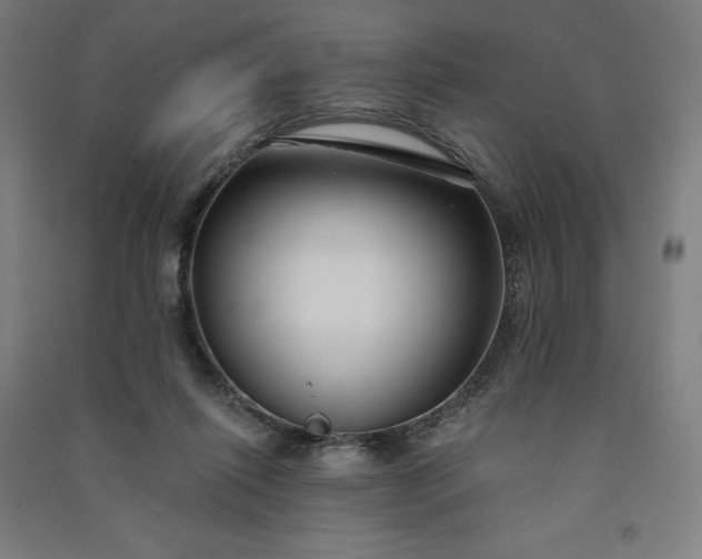 X0000091090262200708201504