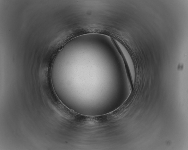 X0000091090263200708201504