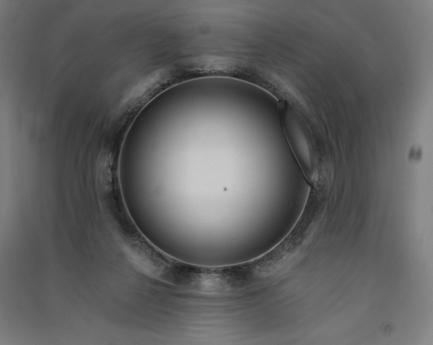 X0000091090264200708201504