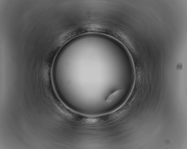 X0000091090265200708201504