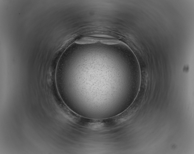 X0000091090266200708201504