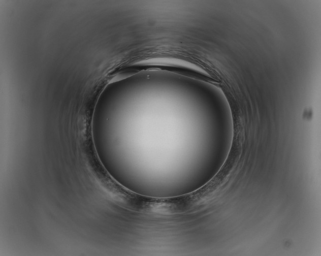 X0000091090268200708201504