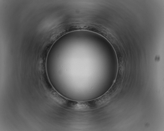 X0000091090270200708201504