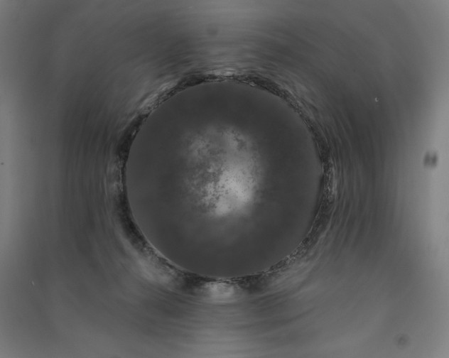 X0000091090272200708201504