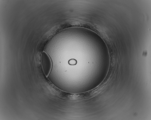 X0000091090273200708201504