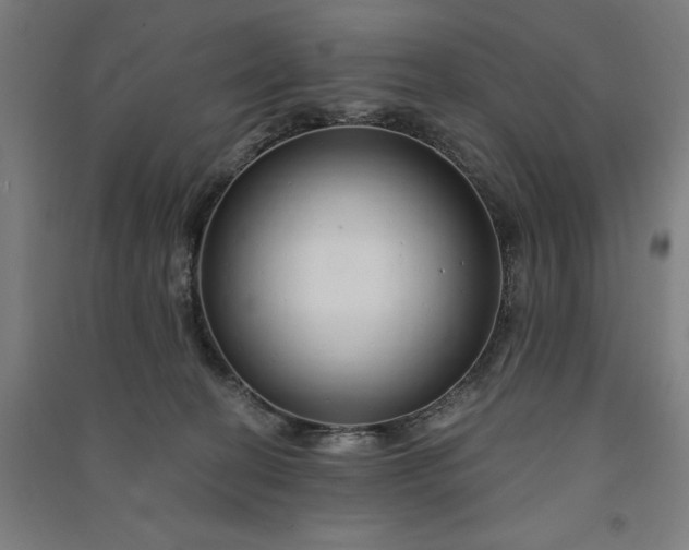 X0000091090274200708201504