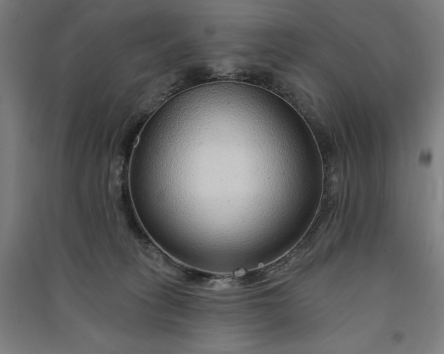 X0000091090275200708201504