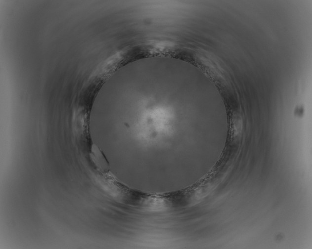 X0000091090276200708201504