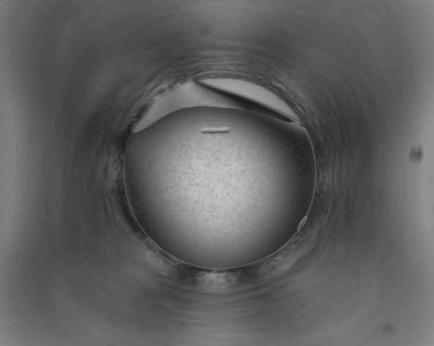 X0000091090277200708201504