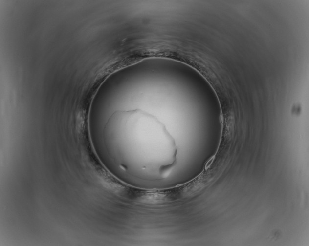 X0000091090278200708201504