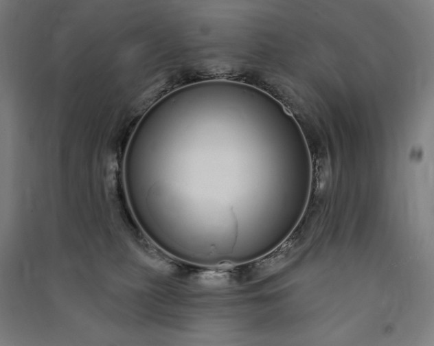 X0000091090279200708201504