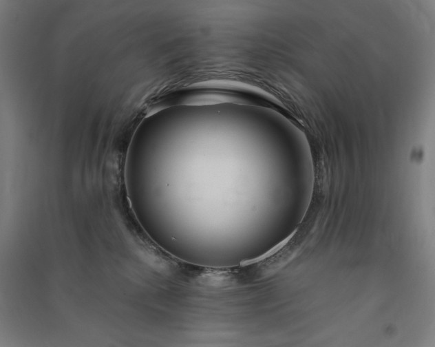 X0000091090280200708201504